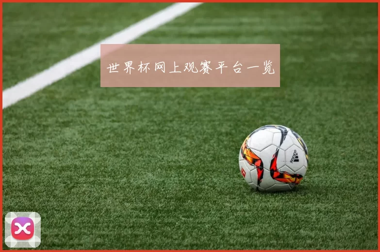世界杯网上观赛平台一览