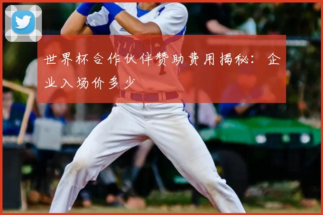 世界杯合作伙伴赞助费用揭秘：企业入场价多少