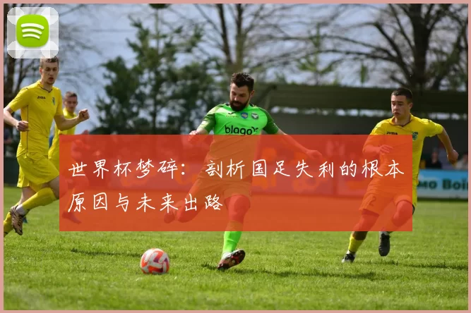 世界杯梦碎:剖析国足失利的根本原因与未来出路