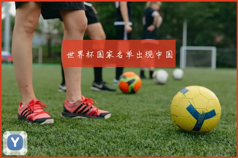 世界杯国家名单出现中国