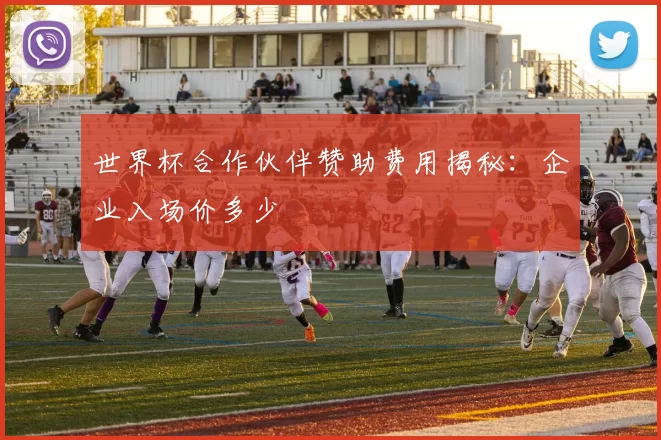 世界杯合作伙伴赞助费用揭秘：企业入场价多少