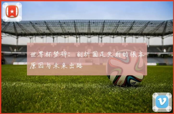 世界杯梦碎:剖析国足失利的根本原因与未来出路
