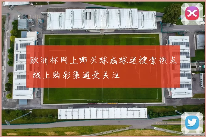 欧洲杯网上哪买球成球迷搜索热点 线上购彩渠道受关注