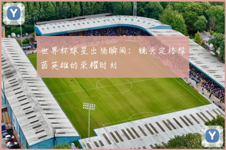 世界杯球星出场瞬间:镜头定格绿茵英雄的荣耀时刻