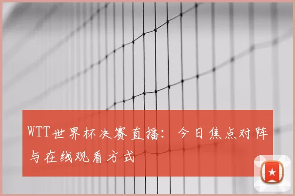 WTT世界杯决赛直播:今日焦点对阵与在线观看方式